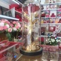 کادویی چیچک