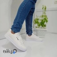 تولیدو پخش کفش سناتور