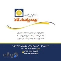 بیمه پاسارگاد ارش اسماعیل پور