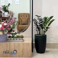 دفتر روانشناسی دکتر پردیس حبیب زاده