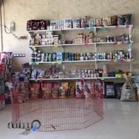 کلینیک دامپزشکی دکتر نوری