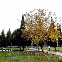 بوستان وحدت