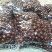 روزنامه امروز خراسان جنوبی