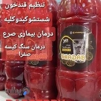 آبمیوه بستنی شاداب