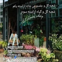 گلفروشی بی بی گل (شعبه یک)