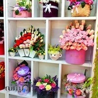 گل مجلل ژینا سابق