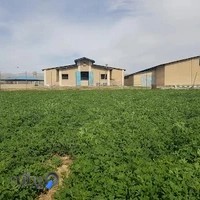 باشگاه سوارکاری شبدیز