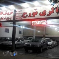 اتو گالری تورج فولادوند