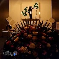 کلینیک فیزیوتراپی محبوب