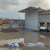 نقاشی اتومبیل استاد نادر طولابی