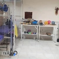 فیزیوتراپی سجاد