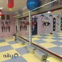 آکادمی کونگ فو چینی لرستان