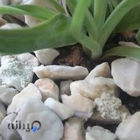 شرکت تعاونی تولید شن و ماسه ۳۵۷ خرم آباد