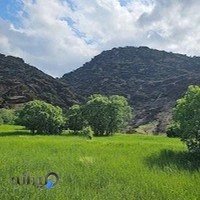 مخمل کوه