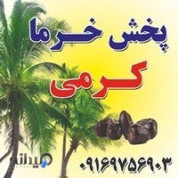 خرمای کرمی مرکز انواع خرما