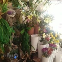 گل فروشی بهرام