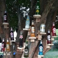 نوشیدنی عصر یخبندان فرید تگری