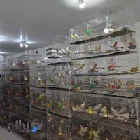 پرنده سرای حمیدنجف