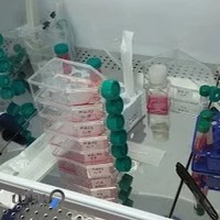 آزمایشگاه کشت سلول