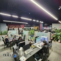 آژانس دیجیتال مارکتینگ پلیکان