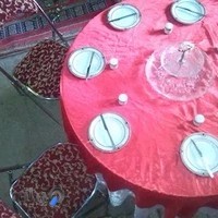 ظروف کرایه ضیافت باولگان