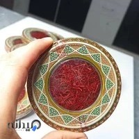 Always green exports Ltd.