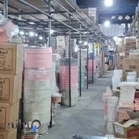 پلاسکو المهدی