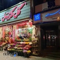 مدیریت بیمه سرمد