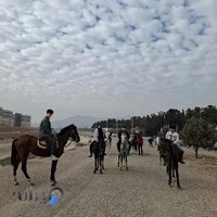 مجموعه سوارکاری تکسوار