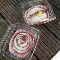 سرزمین موچی مائی