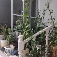 حجامت دکتر عطایی