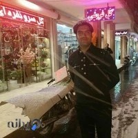 گل سرو نقره‌ای