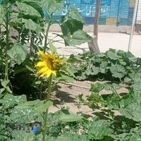 مشاوره‌ تخصصی‌ ازدواج‌وخانواده‌ـمشاهده نظرات👇