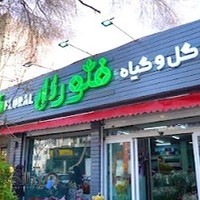 بازار گل و گیاه