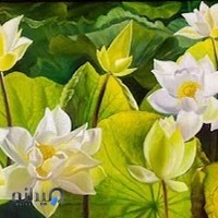 اموزشگاه هنری بیرنگ.جمال میرصفایی.gallery birang