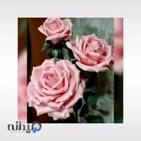 دفتر ازدواج 213