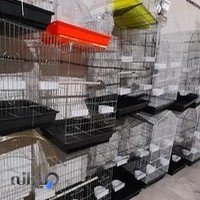 لوازم حیوانات خانگی کیانی