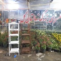 نهالستان گل