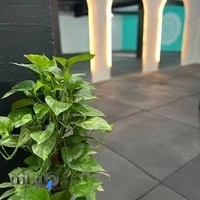 خانه یوگا زرین شهر