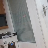 دکتر فرنوش میرزاده