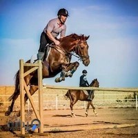 باشگاه سوارکاری کاوه