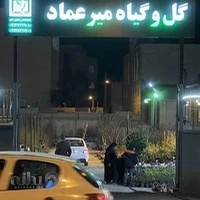 گل و گیاه میرعماد