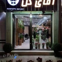 گلفروشی تولیپ