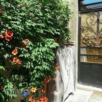 سوئیت آپارتمان آریا