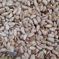 خشکبار رسولی نژاد