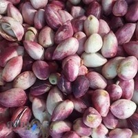 خشکبار حسینی