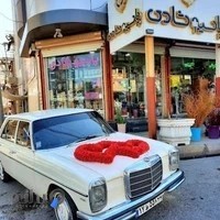 گلفروشی پاسیوشادی