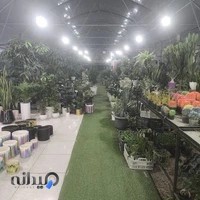 نمایشگاه گل و گیاه امام رضا اندیمشک