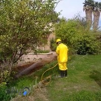 شرکت سمپاشی و موریانه زدایی دزفول