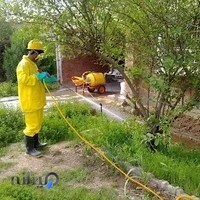 شرکت سمپاشی و موریانه زدایی شوش